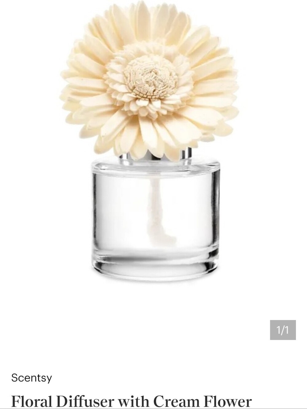 Scentsy Cream Flower Reed Diffuser with Clear Glass Base
